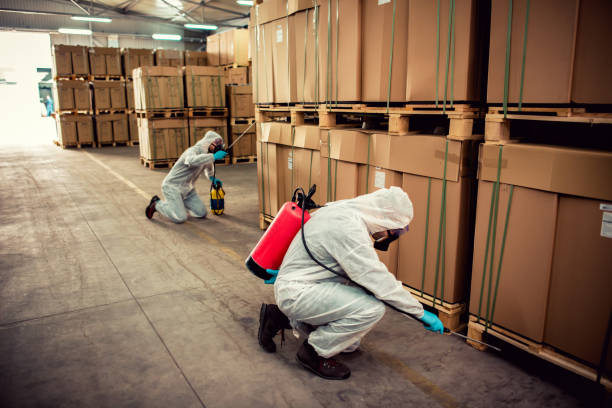 Best Pest Control Near Me  in Clarksville, IA