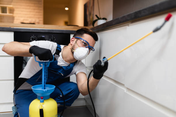 Best Emergency Pest Control  in Clarksville, IA
