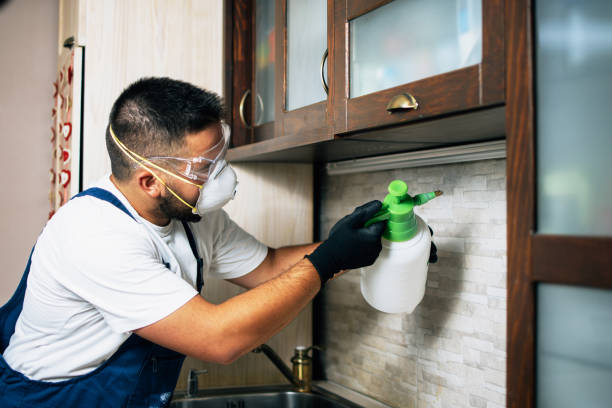 Best Bed Bug Extermination  in Clarksville, IA
