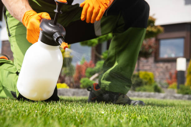 Best Rodent Control Near Me  in Clarksville, IA