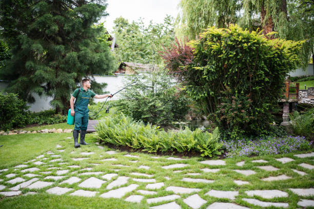 Best Affordable Pest Control Services  in Clarksville, IA