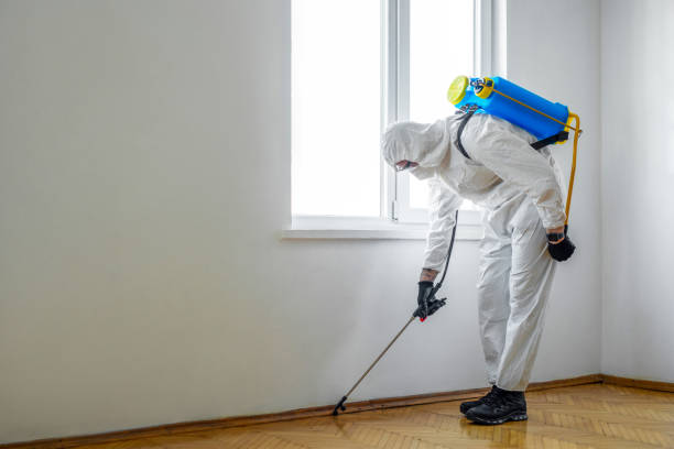 Pest Control Cost in Clarksville, IA