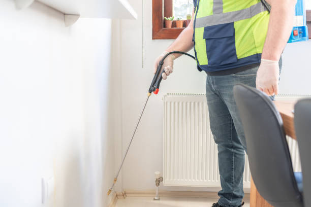 Best Wasp Removal Services  in Clarksville, IA