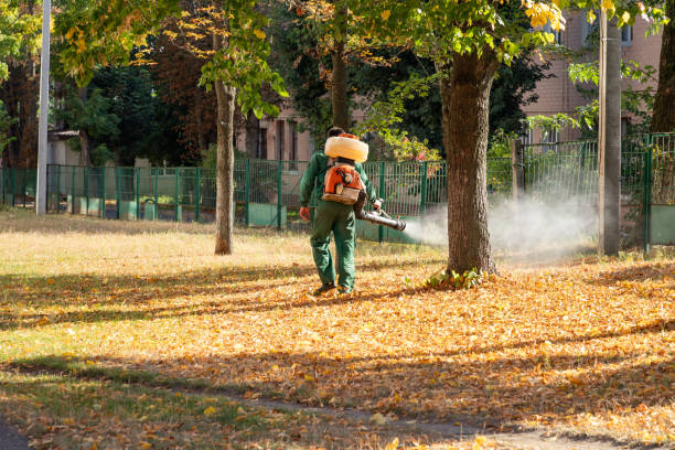 Best Cockroach Control Services  in Clarksville, IA