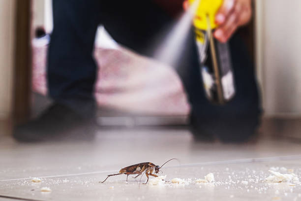 Best Residential Pest Control  in Clarksville, IA