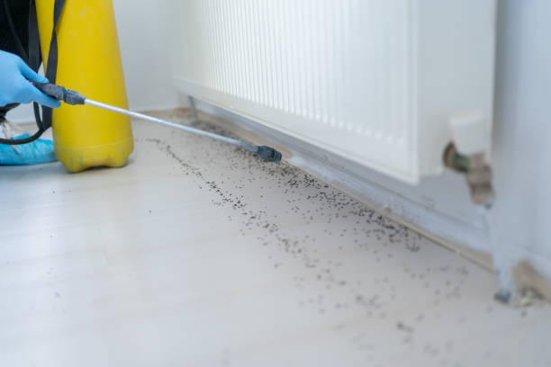 Best Rat Extermination Near Me  in Clarksville, IA