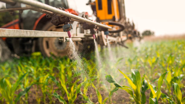 Best Pest Removal Services  in Clarksville, IA